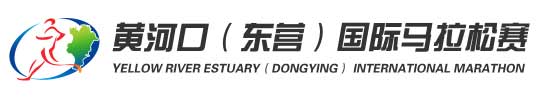 dongying-mar-2017-logo